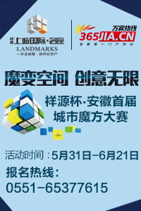 馬鋼股份收購法國公司 境外收購成皖企重要投資方式，引領(lǐng)計算機軟硬件開發(fā)新篇章