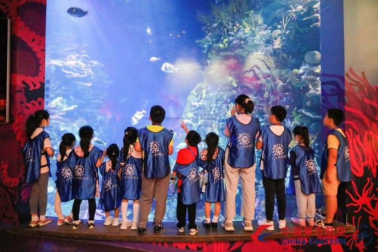 圖為小游客打卡上海長風海洋世界"東方小飛人"夜宿活動 東方航空供圖