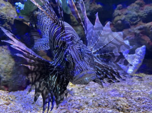 公園分享 鄭州海洋館