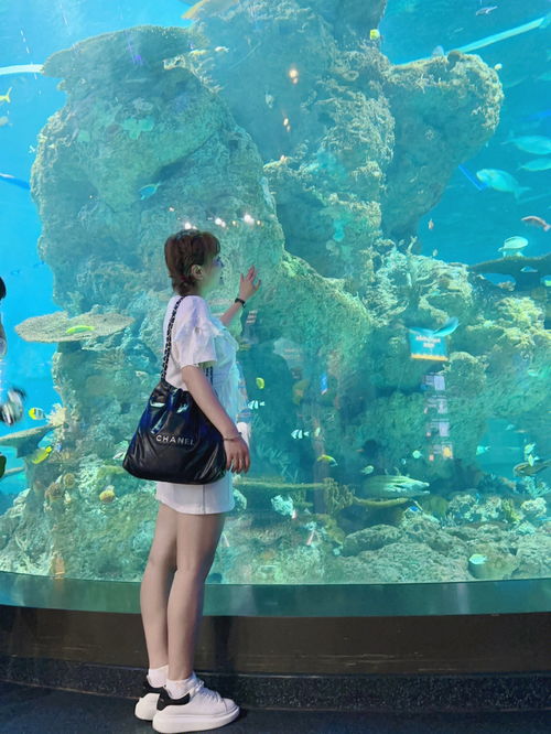 五一新加坡環球影城海洋館一日游