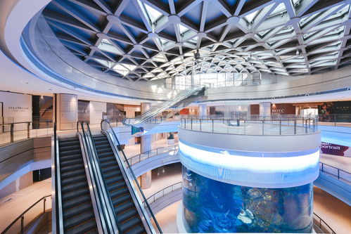 亞洲購物中心室內最大的360度全景柱狀海洋館正式亮相星光68廣場