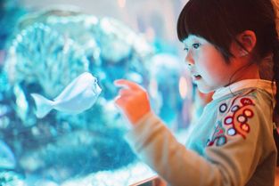 Reef Systems水族 來(lái)自新加坡的全球經(jīng)典水族工程設(shè)計(jì)建造專家
