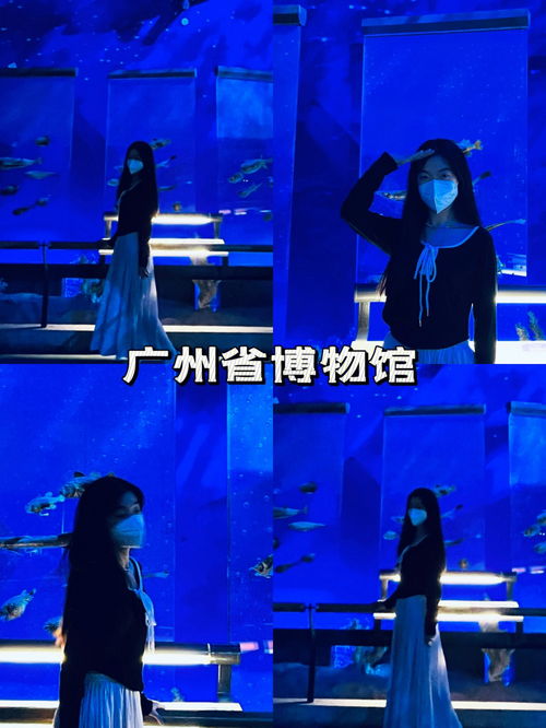 廣州省博物館 免費(fèi)拍出藍(lán)色系海洋世界