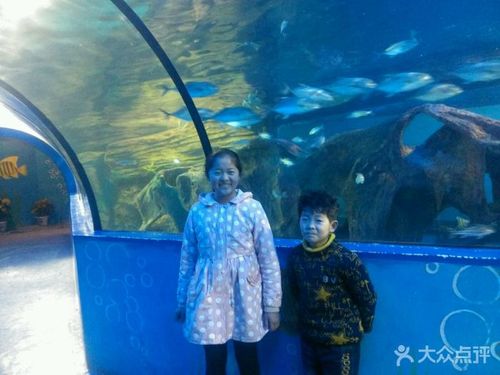 人民公園海洋館圖片