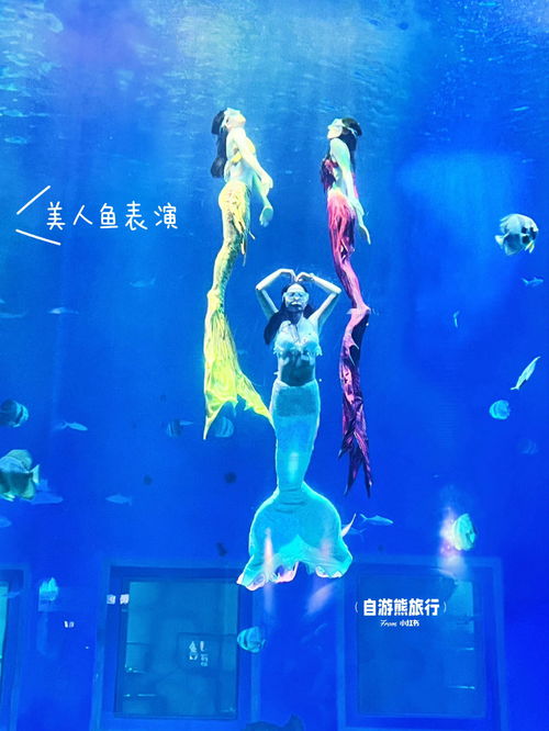 南寧極地海洋 浪漫的氛圍感直接拉滿