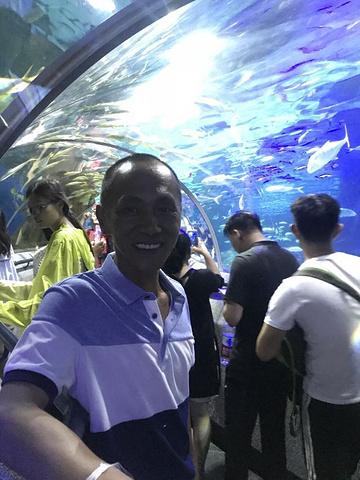 "_大連圣亞海洋世界"的評論圖片