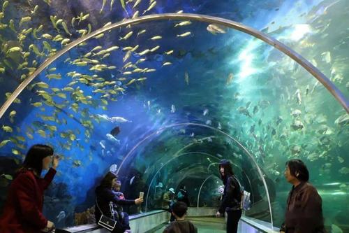國慶兩天夢回大宋清明上河園海洋館小宋城2日游10月4日5日