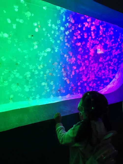 國慶假期海洋館暢玩 情侶朋友拍照打卡