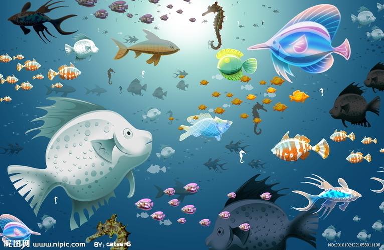 海底世界圖片