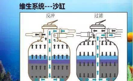 海洋科考魔法營,現實版 狼人殺 海底王國科普闖關...