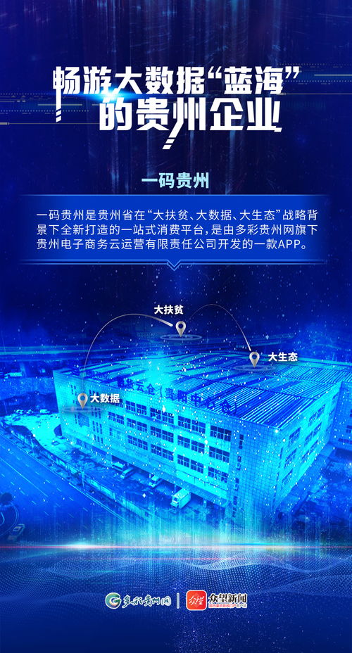 暢游大數據 藍海 的貴州企業