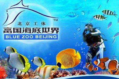 水族館帶你走進海洋深處