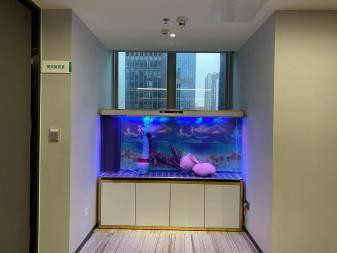 金陽眾彩水族館經營精品魚缸高中檔魚缸清洗魚缸維護