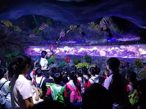 100元 張 鄭州海洋館在許昌有優惠門票銷售