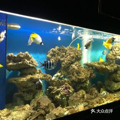 電話,地址,價格,營業時間 陽西縣周邊游