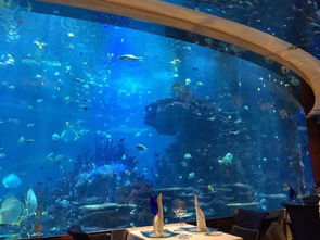 北京銷售海洋建造哪家好
