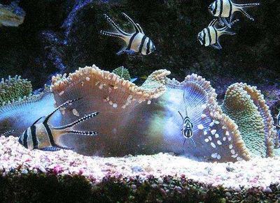 熱那亞水族館好玩嗎,熱那亞水族館景點怎么樣_點評_評價【攜程攻略】