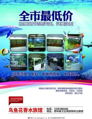 水族箱海報圖片