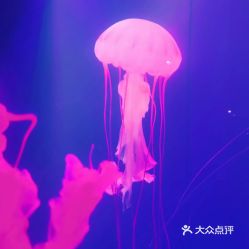 電話,地址,價格,營業時間 圖 鄂爾多斯周邊游