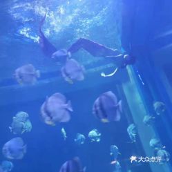 電話,地址,價格,營業(yè)時間 鄂爾多斯周邊游