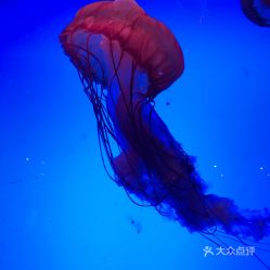 電話(huà) 地址 價(jià)格 營(yíng)業(yè)時(shí)間 新華北路動(dòng)植物園團(tuán)購(gòu) 烏魯木齊周邊游
