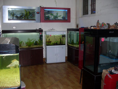 合肥深海水族館-中國貿易網-會員網站