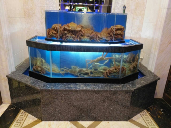 海鮮魚缸制作