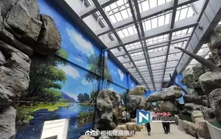 三分鐘新聞丨全球最大規模室內海洋館8月永泰開業 1000多種海洋動物,百米海底隧道