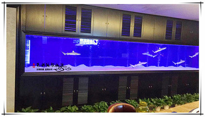 【泰州大型魚缸】報價_供應商_圖片-崇安區鴻顏水族器材經營部