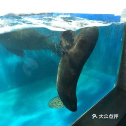 電話,地址,價(jià)格,營業(yè)時(shí)間 雙流區(qū)周邊游