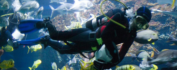 曼谷水族館門票價(jià)格_曼谷水族館門票多少錢_曼谷水族館好玩嗎