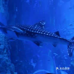 電話,地址,價(jià)格,營業(yè)時(shí)間 雙流區(qū)周邊游