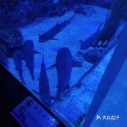 電話,地址,價格,營業時間 鄭州休閑娛樂