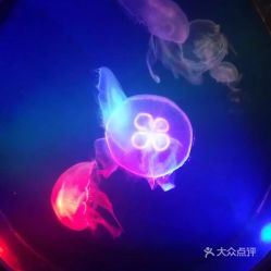 電話,地址,價格,營業時間 鄭州周邊游