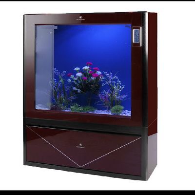 奎屯愛魚水族館(奎屯愛魚水族館經營產品:觀賞魚,漁具的零售,依法須經批準的項目)