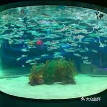 電話,地址,價格,營業時間 廣州周邊游