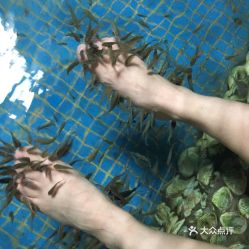 電話,地址,價格,營業時間 陽西縣周邊游
