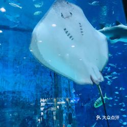 電話,地址,價格,營業時間 北京周邊游