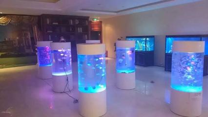 2017景觀海洋生物展出租海洋展覽公司特色海獅租賃_其它類欄目_