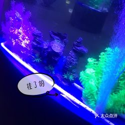 電話,地址,價格,營業時間