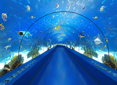 開個水族店要多少錢