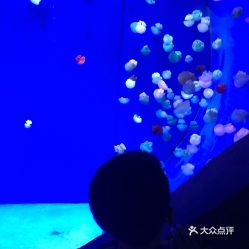 電話,地址,價格,營業(yè)時間 鄂爾多斯周邊游
