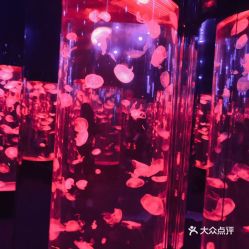 電話,地址,價格,營業(yè)時間 雙流區(qū)周邊游