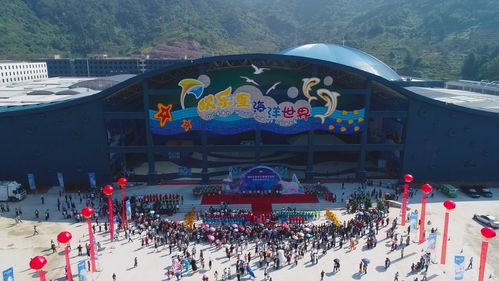 福州15萬平方米的海洋世界,半小時帶你打卡南北極,五一的好去處
