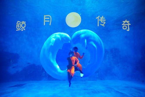 企鵝展區(qū)全新升級 鳥語林 探奇魚宙 新年上新 天津海昌極地海洋公園鼠年生肖票僅售9.9元