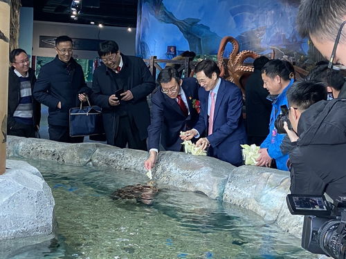 周口海洋館今日舉行盛大的開業(yè)典禮,熱烈祝賀2020.1.1日正式營業(yè)