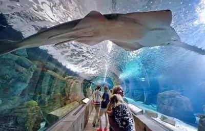 這些購物中心把動物園搬進來了
