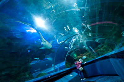 水族館帶你走進海洋深處