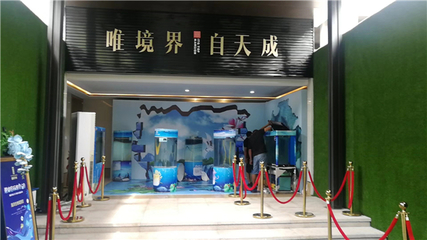 哪里有海洋生物展覽租賃魚缸展覽租賃的