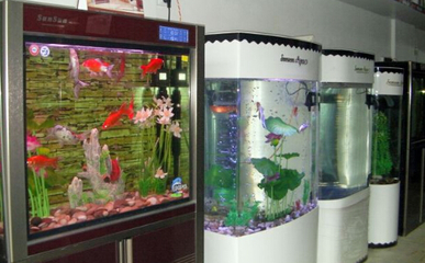 森森水族加盟多少錢